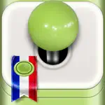 Learn French with Lingo Arcade App Contact