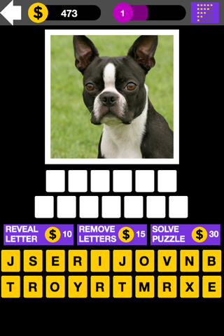 Top Dog Breed Quiz Maestro - náhled