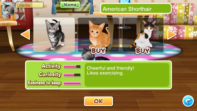 My Cat My Room