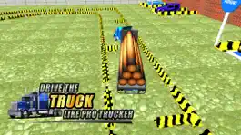 Game screenshot Truck Parking School & Driving Test Simulator hack