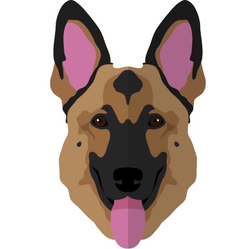 My German Shepherd