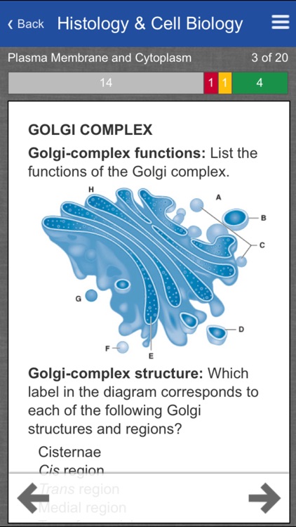 Histology and Cell Biology Review Flash Cards