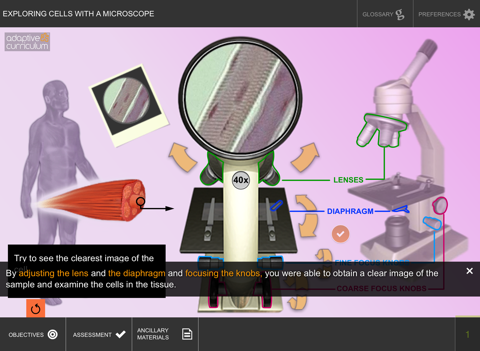 Exploring Cells with a Microscope - náhled