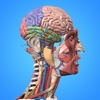 Anatomy of Human Body : App for Doctors & students