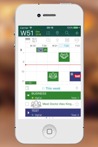 VigCal screenshot 2