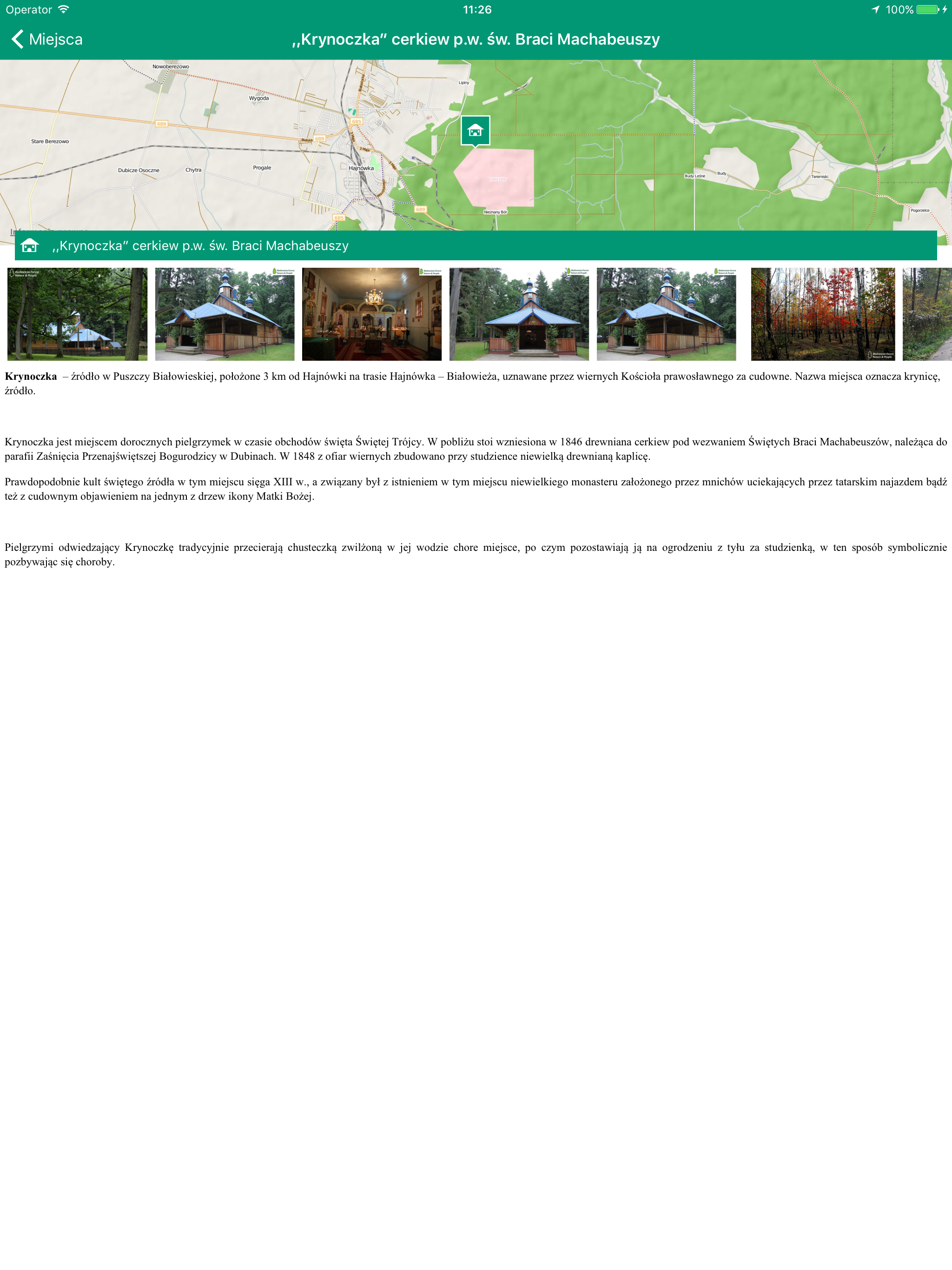 Puszcza Białowieska