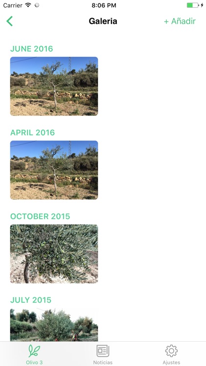 Mi Olivo screenshot-3