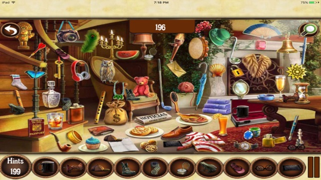 Hidden Objects:Hidden Agendas Mystery 8