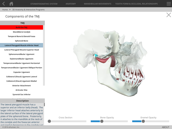 Screenshot #5 pour Occlusion Atlas 3