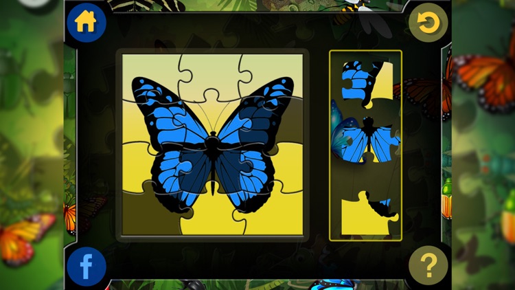 Jigsaw Puzzle for Insects screenshot-3
