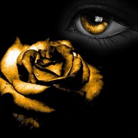 黑色和金色高清壁纸收藏图库-个性名言主题背景