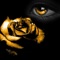 This App selected critically “Black and Gold” Inspired pictures, photography and paintings, all of which are of HD gallery-standard artworks with highest quality