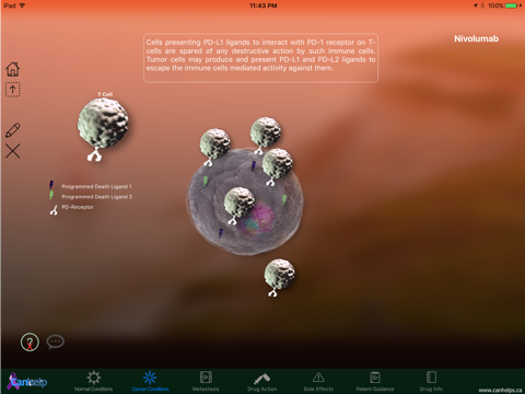 Nivolumab screenshot 3