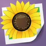 Photo Adjust - App Icon