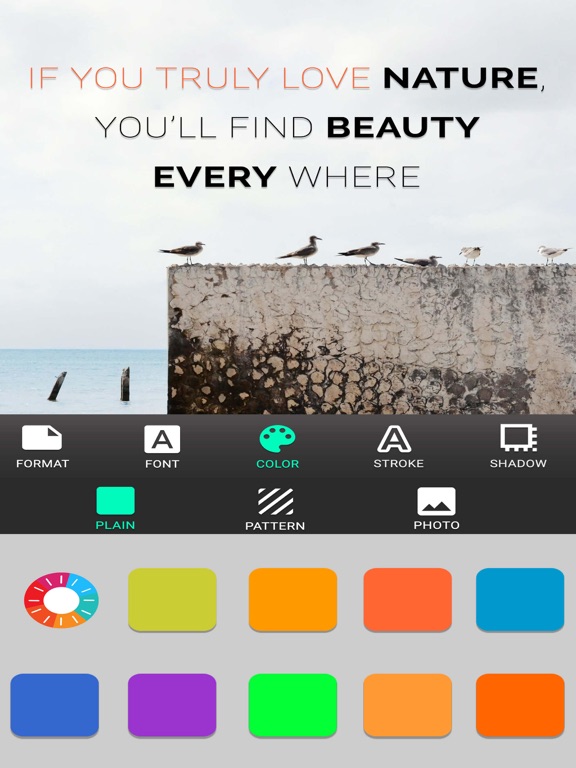 Text Art : Add Text On Photos iPad screenshot