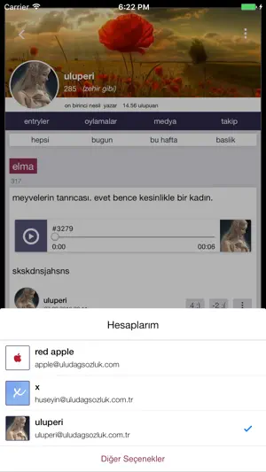uludağ sözlük screenshot 4