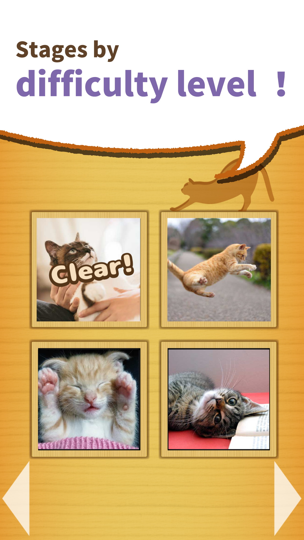 change cats -a-ha!experience-