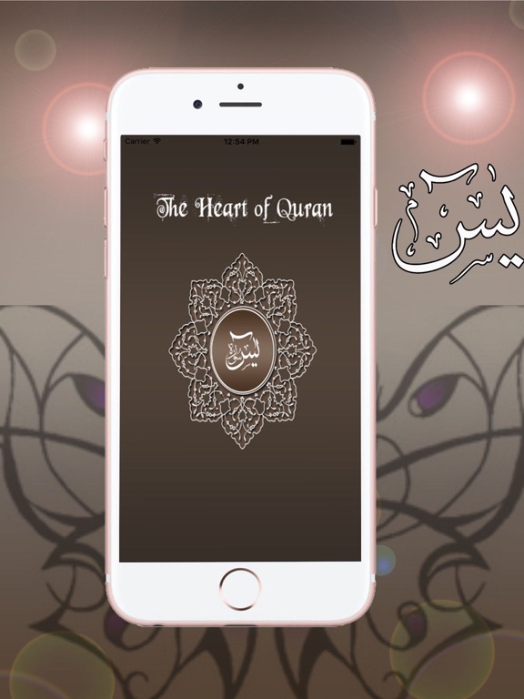 Screenshot #5 pour Surah Yasin Audio Urdu - English Translation