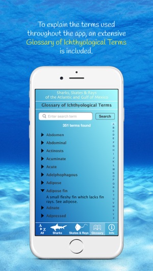 Sharks & Rays of the Atlantic and Gulf of Mexico(圖5)-速報App