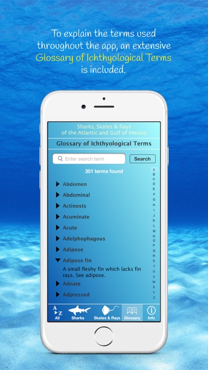 Sharks & Rays of the Atlantic and Gulf of Mexico screenshot-4
