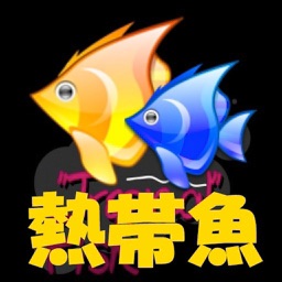 熱帯魚