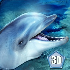 Activities of Sea Dolphin Simulator 3D