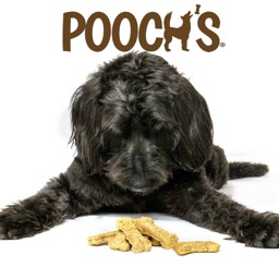 Pooch's Dog Treats