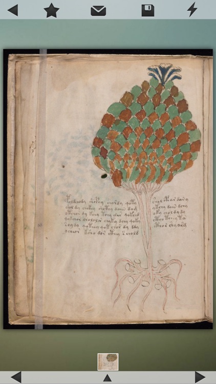 Voynich Manuscript!