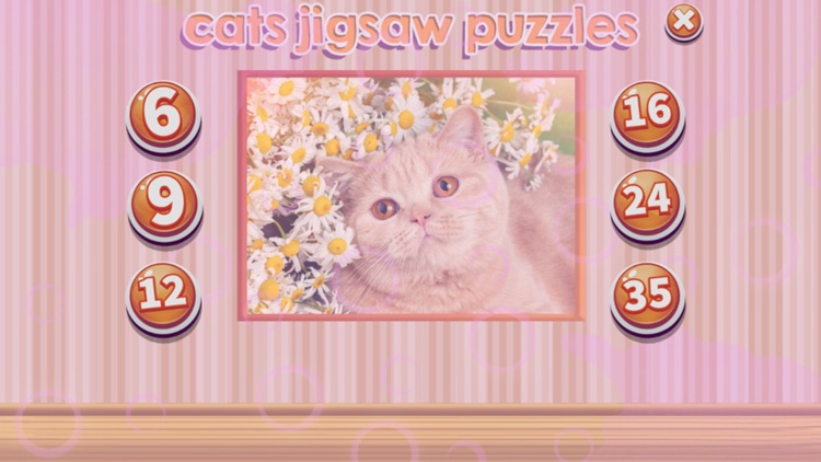 cats jigsaw puzzles game for kids