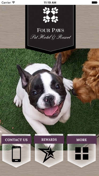 Four Paws Pet Hotel & Resort