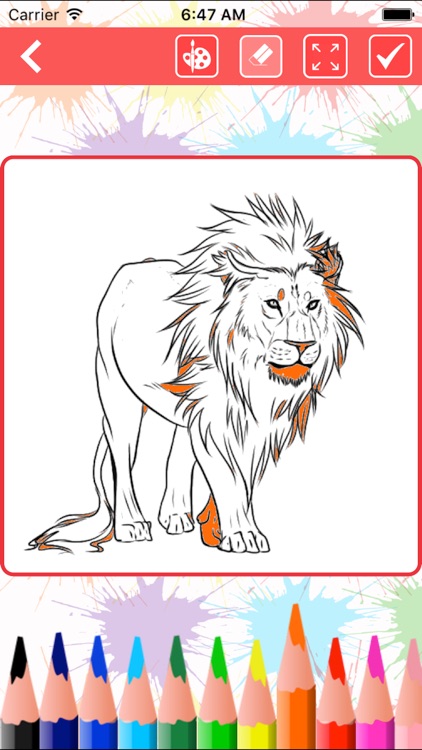 Animal Coloring Book : Coloring Book