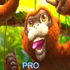 A Monkey Jump Pro: Jungle Speed Blast