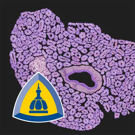 Johns Hopkins Atlas of Pancreatic Pathology Читы