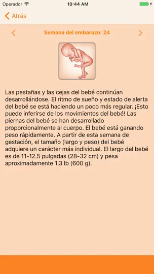 Captura de pantalla de WomanLog Pregnancy Calendar en iPhone 3