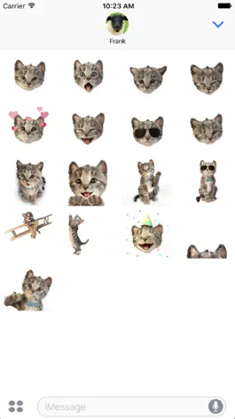 Game screenshot Little Kitten Stickers mod apk