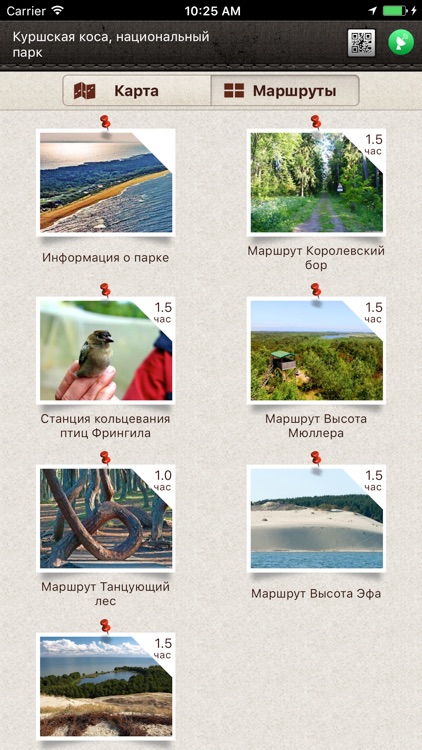 Куршская коса