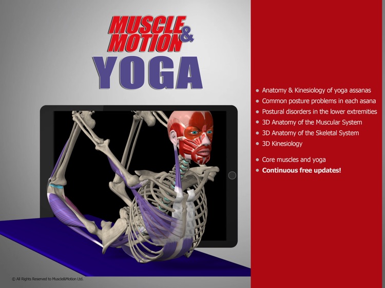 Muscle and Motion Yoga