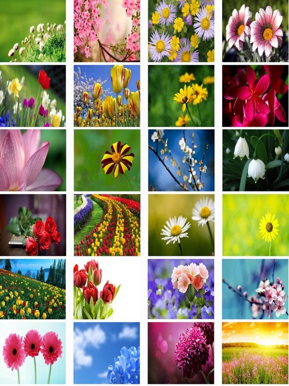 Flowers HD Wallpaper Lock Screen And Flowers Games