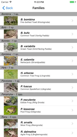 Game screenshot Reptiles and Amphibians of Sweden apk
