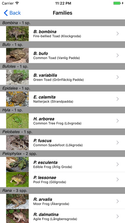 Reptiles and Amphibians of Sweden