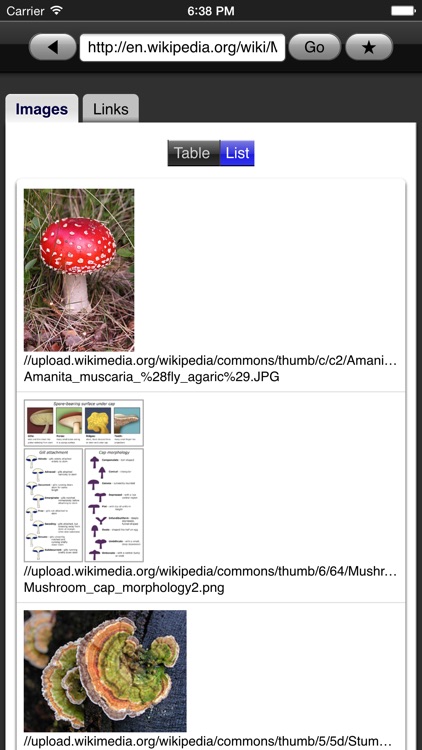Web Images Lite