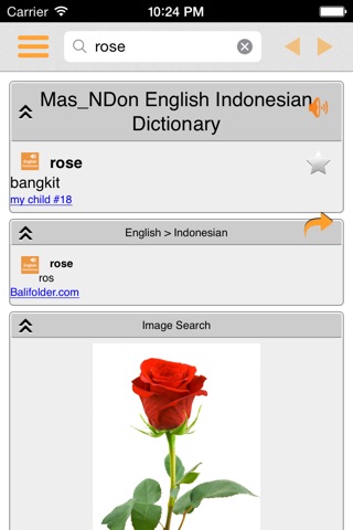 English Indonesian Dictionary (Simple & Effective) screenshot 2
