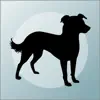 What's My Mutt? App Negative Reviews