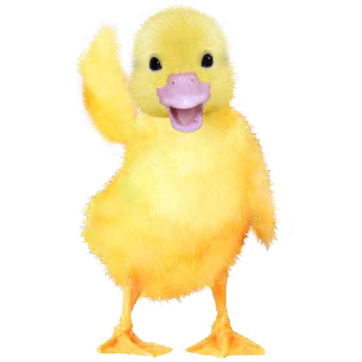 Talking Duckling - AppWisp.com