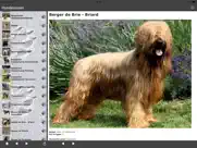 hunderassen ipad bildschirmfoto 2