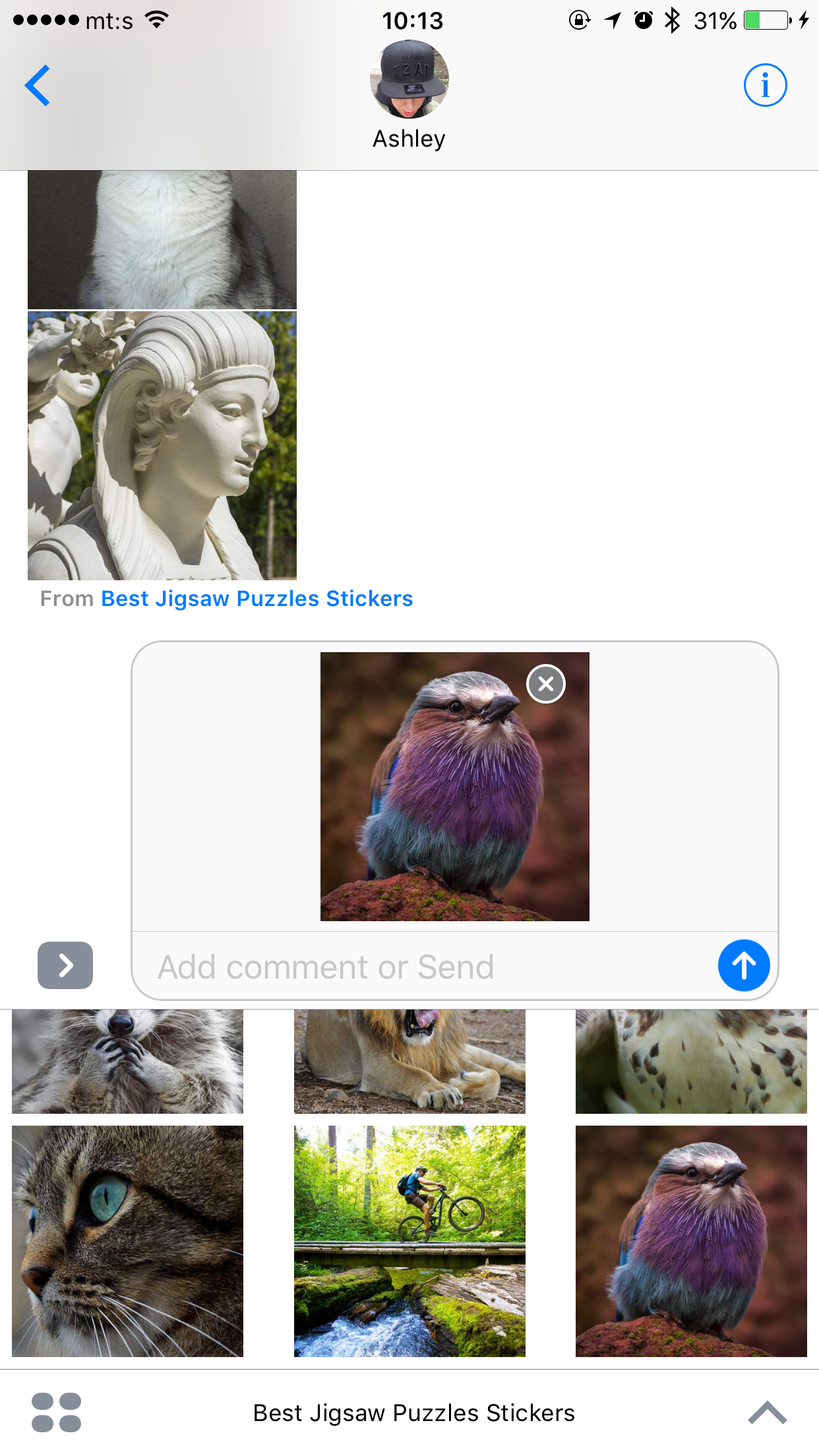 Best Jigsaw Puzzles screenshot 11