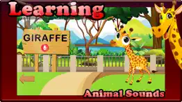 learn animal english - laugh and learn for kids problems & solutions and troubleshooting guide - 1