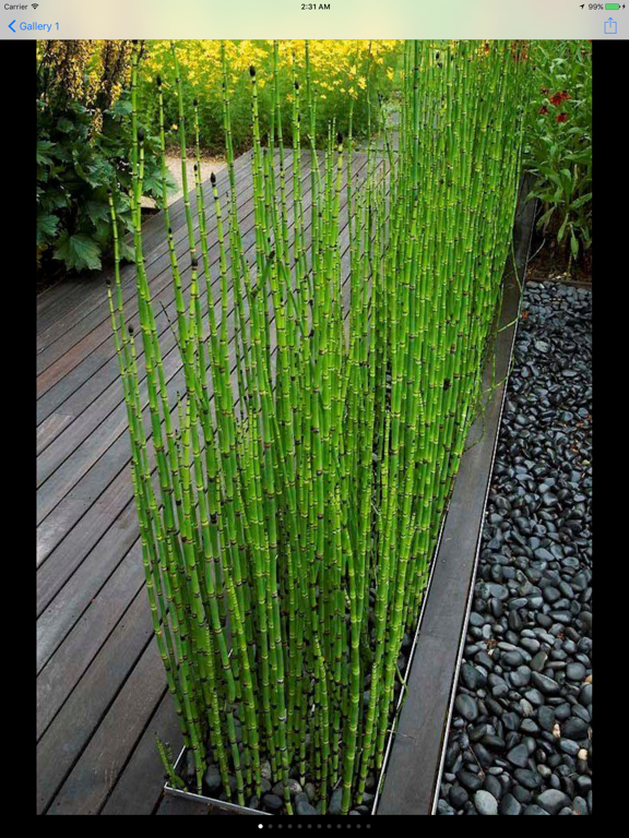 Screenshot #6 pour Amenagement Jardin - Paysage