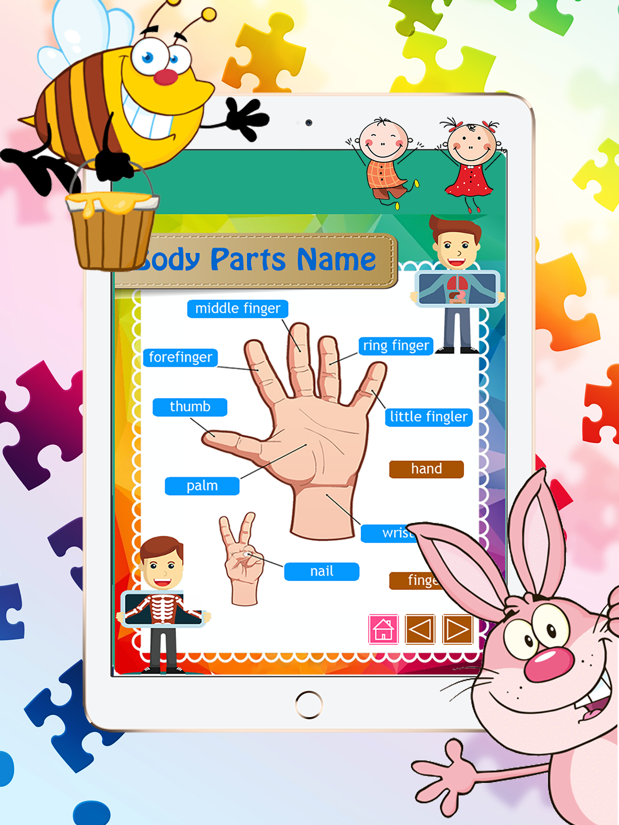 Reading Body Parts Name English Picture Vocabulary screenshot 5