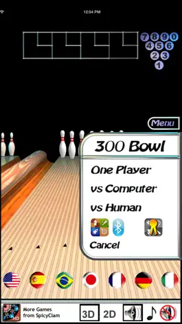 Game screenshot 300 Bowl LE apk